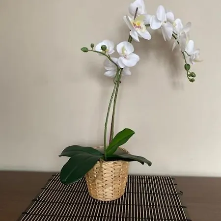 Apartamento Nik En Casa Chalet Con Parking Y Jardin Erandio