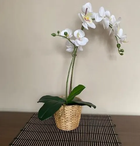 Apartamento Nik En Casa Chalet Con Parking Y Jardin Erandio